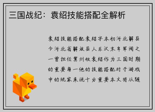 三国战纪：袁绍技能搭配全解析